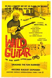 Wild Guitar