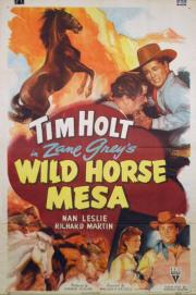 Wild Horse Mesa