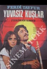 Yuvasiz kuslar