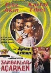 Zambaklar Açarken