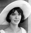 Pamela-Franklin