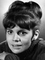June-Harding