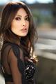 Chasty-Ballesteros