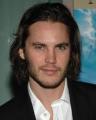 Taylor Kitsch