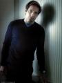 David-Duchovny
