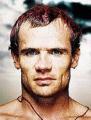 Flea