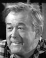 Woody-Chambliss