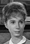 Josie-Lloyd