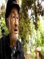 Blent-Oran