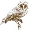 barnowl