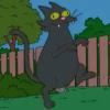 bigblackcat width="100" height="100"