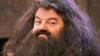 hagrid width="100" height="56"