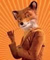 misterfox