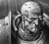 stoicorum