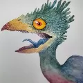 voroneril